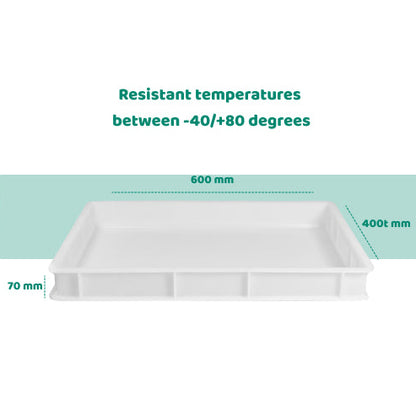 60x40x7 cm Dough Box Polypropylene  BPA Free