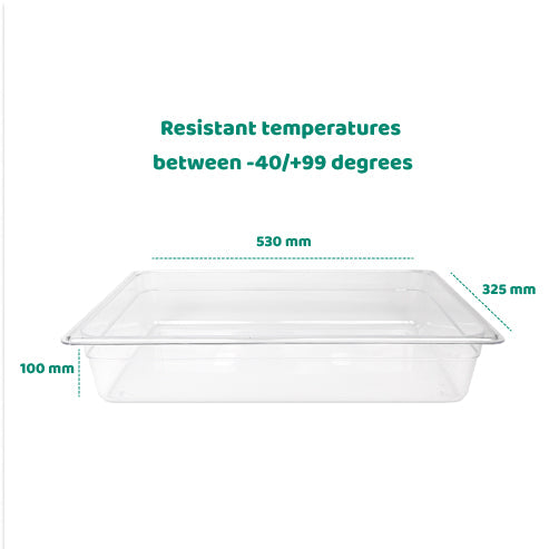 1/1 100 mm Gastronorm Pan