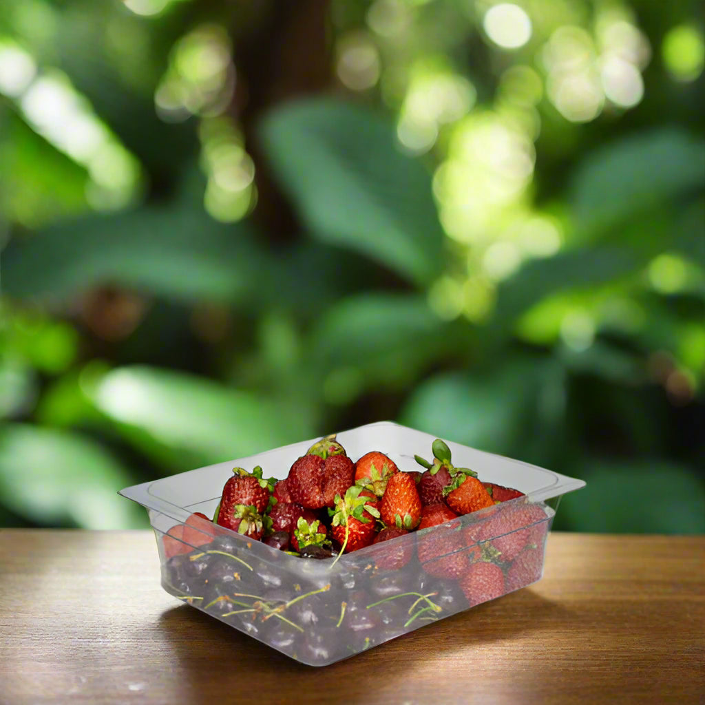 1/2 100 mm Gastronorm Pan